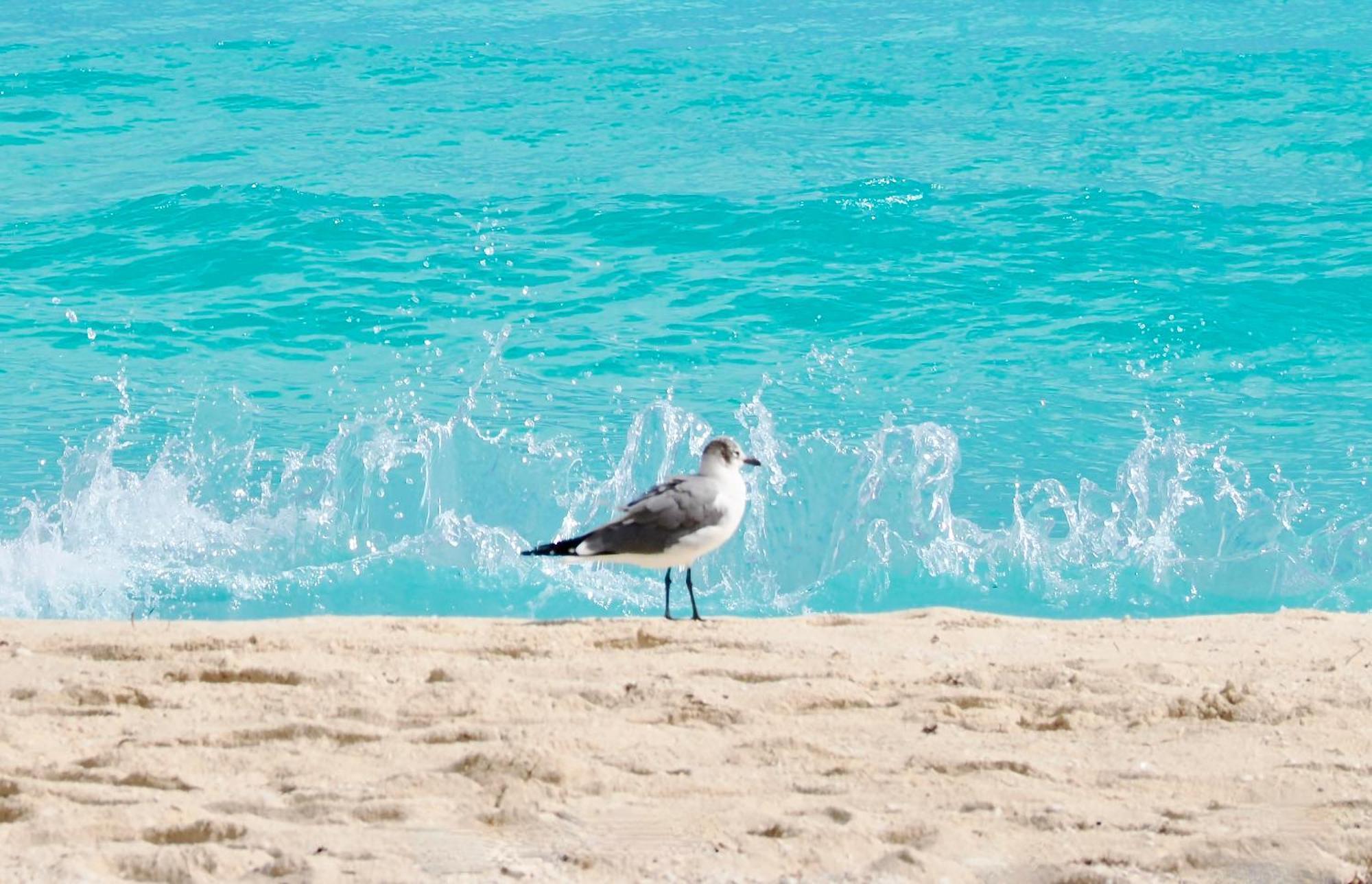 Solymar Beach Condos Cancún Exteriér fotografie